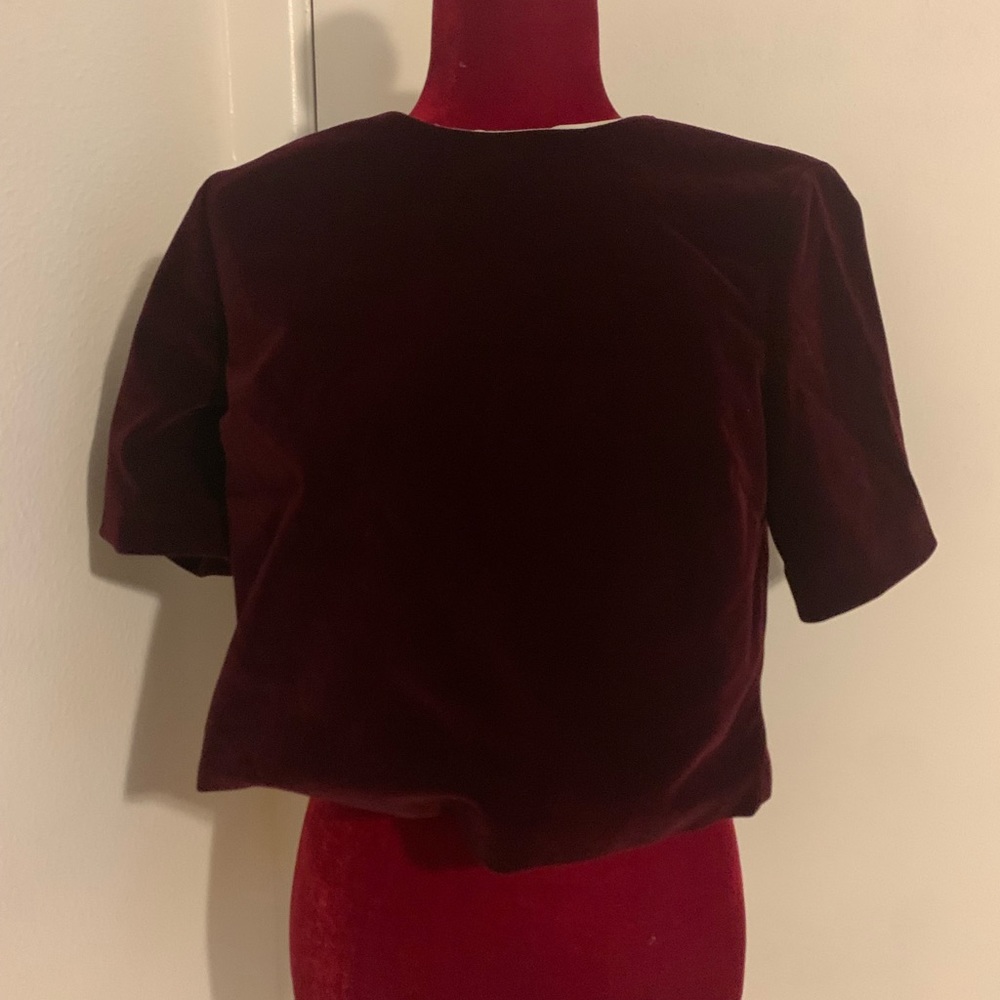 Burgundy crop top with sexy VA VOOM back and short sleeves.
